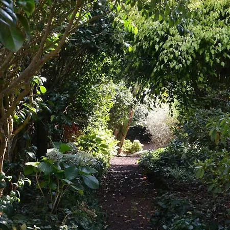 Quinta Do Vinhatico *