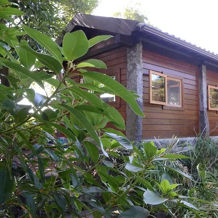 Quinta Do Vinhatico *
