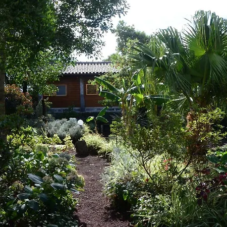 Quinta Do Vinhatico *